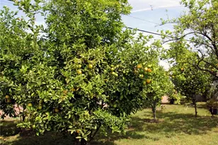 11623 Brimley, Norwalk, CA 90650 - Photo 23