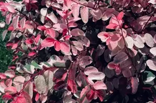 6128 E Conant, Long Beach, CA 90808 - Photo 41