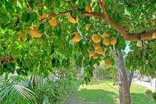 17860 E Laxford, Azusa, CA 91702 - Photo 27