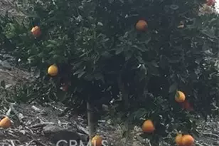 0 Via Barranca, Temecula, CA 92590 - Photo 7