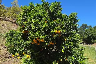 0 Via Barranca, Temecula, CA 92590 - Photo 17