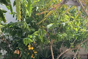 4941 W 130th, Hawthorne, CA 90250 - Photo 49