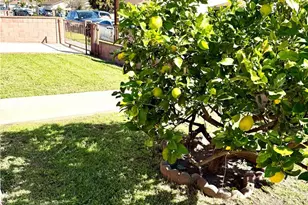 22433 Island, Carson, CA 90745 - Photo 9