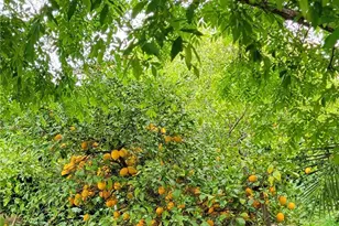 16638 Shuning Ct, Moreno Valley, CA 92551 - Photo 55