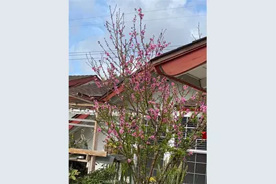 5317 W Henderson Place, Santa Ana, CA 92704 - Photo 7