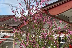 5317 W Henderson Pl, Santa Ana, CA 92704 - Photo 7