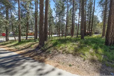 1179 Edna, Wrightwood, CA 92397 - Photo 9