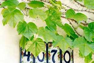 4070 Garden Ave, Los Angeles, CA 90039 - Photo 39