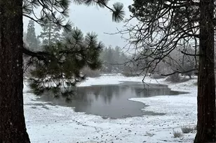 2440 Spruce Dr, Arrowbear, CA 92382 - Photo 55