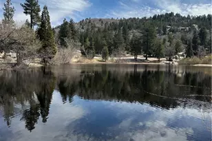 2440 Spruce Dr, Arrowbear, CA 92382 - Photo 53