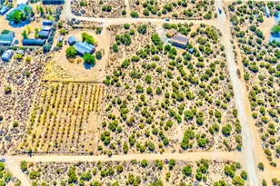 2142 Cbs (Trinity) Ln, Pinon Hills, CA 92372 - Photo 7