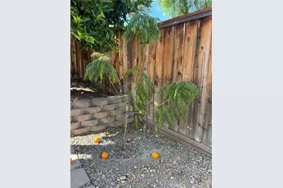 3267 Sueno Drive, San Jose, CA 95148 - Photo 65