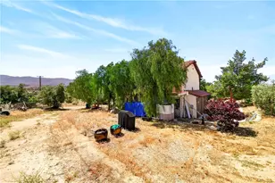 33403 111th, Littlerock, CA 93543 - Photo 47