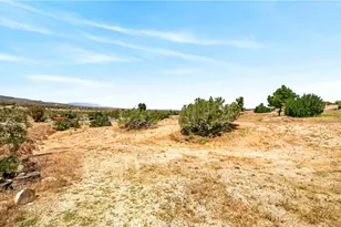 33403 111th, Littlerock, CA 93543 - Photo 41