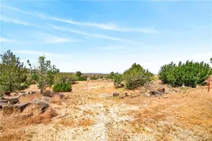33403 111th, Littlerock, CA 93543 - Photo 53