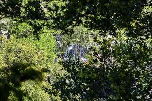 105 Upper San Antonio Falls, Mount Baldy, CA 91759 - Photo 57
