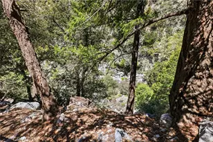 105 Upper San Antonio Falls, Mount Baldy, CA 91759 - Photo 37