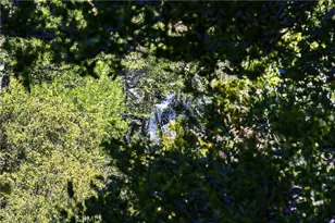 105 Upper San Antonio Falls, Mount Baldy, CA 91759 - Photo 31