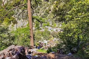 105 Upper San Antonio Falls, Mount Baldy, CA 91759 - Photo 43