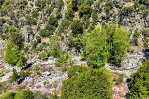 105 Upper San Antonio Falls, Mount Baldy, CA 91759 - Photo 59