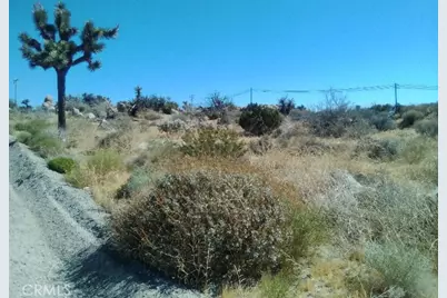 57100 Moffett Lane, Yucca Valley, CA 92284 - Photo 5