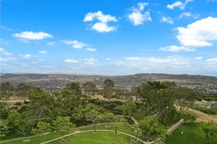 20 Viewpoint Pl, Laguna Niguel, CA 92677 - Photo 47