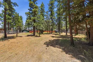 2168 Fern Ln, Big Bear City, CA 92314 - Photo 61