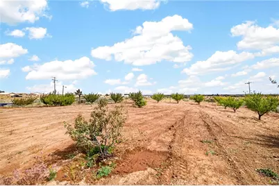 5445 Snow Line, Phelan, CA 92371 - Photo 5