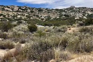8 Old Hwy # 8, Pine Valley, CA 91962 - Photo 1