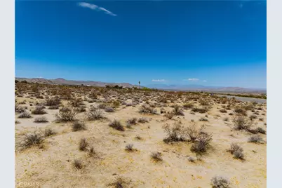 29 Palms, Joshua Tree, CA 92252 - Photo 11