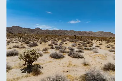 29 Palms, Joshua Tree, CA 92252 - Photo 9