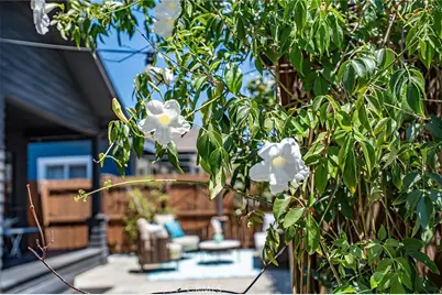 523 Olive, Long Beach, CA 90802 - Photo 31