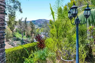 461 S Paseo Estrella, Anaheim Hills, CA 92807 - Photo 49
