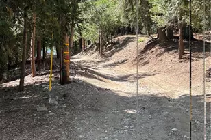 445 Shingle Mill Creek Rd, Crestline, CA 92325 - Photo 15