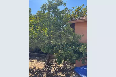 242 E M, Colton, CA 92324 - Photo 13