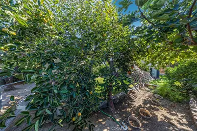 2640 David, La Habra, CA 90631 - Photo 55