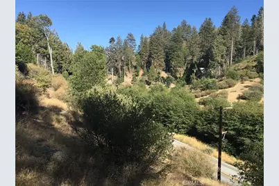 29751 Redwood, Cedar Glen, CA 92321 - Photo 3