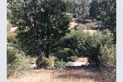 29776 Hook Creek, Cedar Glen, CA 92321 - Photo 1