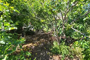 2016 Thurman Ave., Los Angeles, CA 90016 - Photo 35
