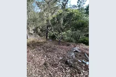 2977 Ramsey Road, Cambria, CA 93428 - Photo 3
