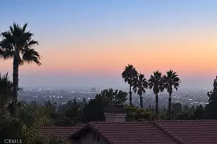 19041 Cerro Villa Dr, Villa Park, CA 92861 - Photo 69