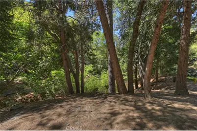 25005 Basel Drive, Crestline, CA 92325 - Photo 39