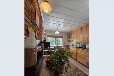 1013 Mocking Bird, Wrightwood, CA 92397 - Photo 35