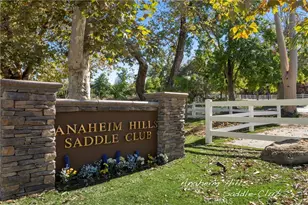 151 S Quintana Dr, Anaheim Hills, CA 92807 - Photo 15