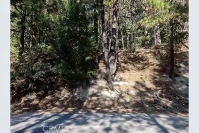 131 Golf Course Road, Lake Arrowhead, CA 92352 - Photo 5