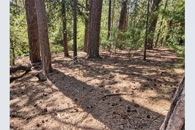131 Golf Course Road, Lake Arrowhead, CA 92352 - Photo 1