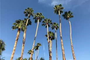 42278 Dunes View Rd, Rancho Mirage, CA 92270 - Photo 45