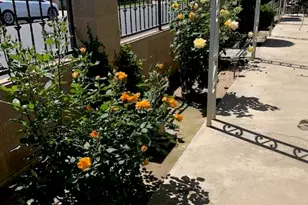 4401 Camelot Pl, Bakersfield, CA 93301 - Photo 21