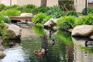 4861 Lago, Huntington Beach, CA 92649 - Photo 23