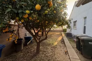 14601 Algeciras, La Mirada, CA 90638 - Photo 23